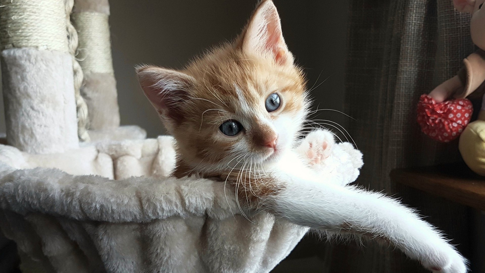 保罗神级掌控引爆全场,开拓者横扫广东队展现绝对统治力