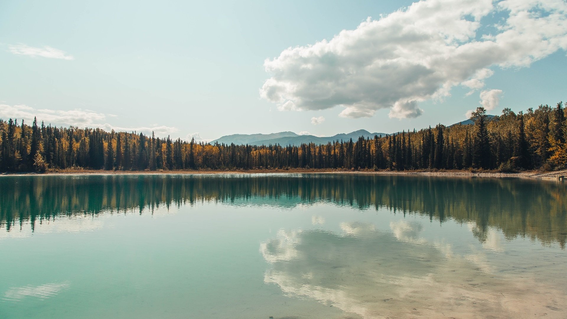 迪巴拉,玫瑰绽放的血色之夜,与爱尔兰刻入骨血的战术枷锁